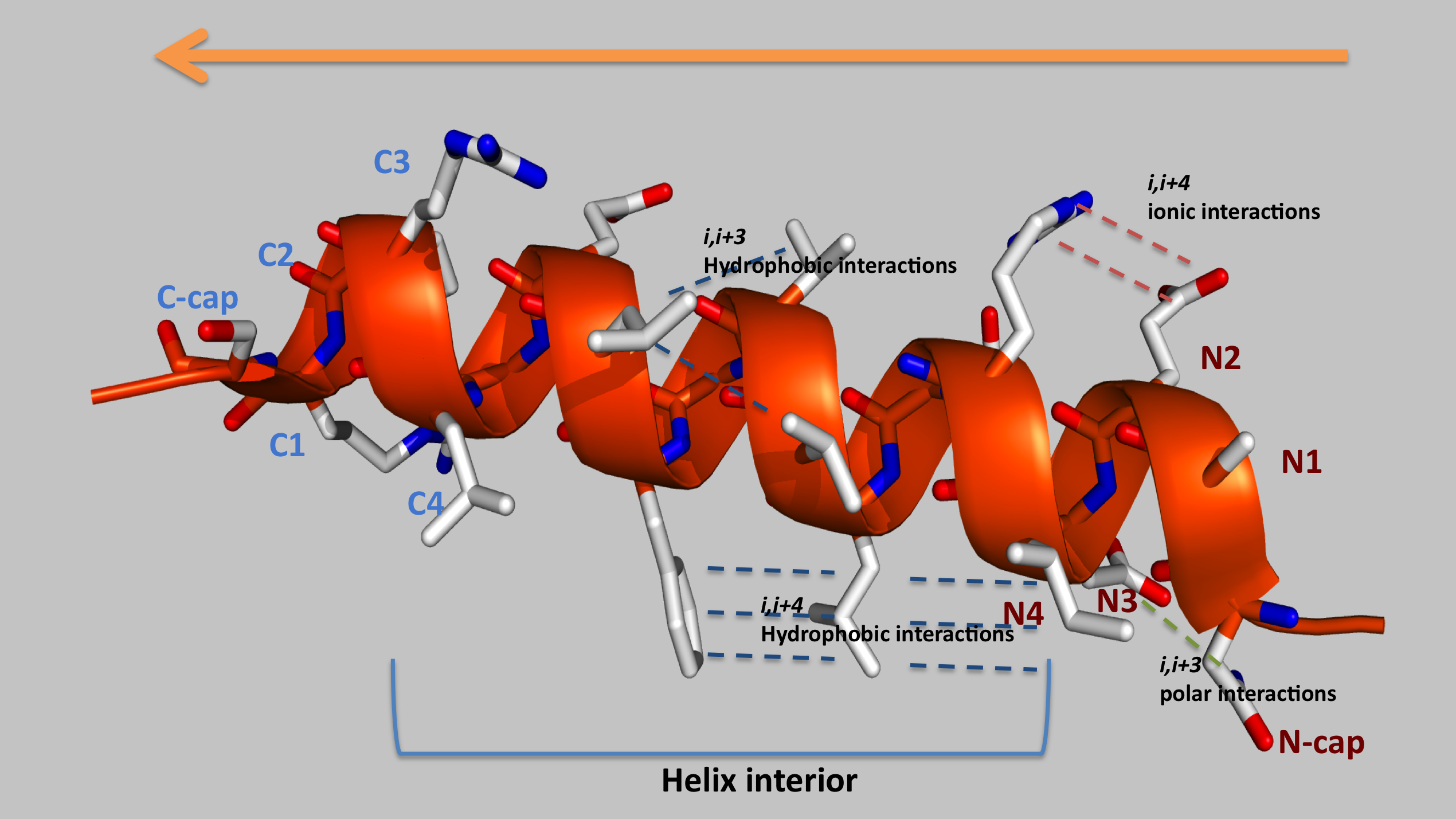 helix picture